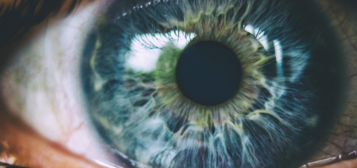 Professional optometrist